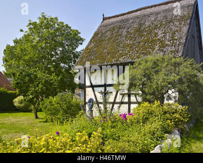 Fienile con tetto in paglia in Warthe, Lieper Winkel, Usedom, Meclemburgo-Pomerania, Germania Foto Stock