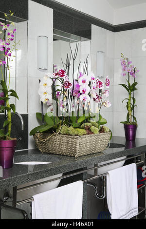 Orchidee, blossom, basket, Dendrobium Emma, bagno, Phalaenopsis, fiori esotici tropicali, impianto, fioriture, bellezza, Flechtkorb, MOSS, rosa, rosa, l'ambiente, vasca da bagno, lavello, stile, toccare, asciugamani, armatura, lifestyle, appunti, moderno, ornamentally, interna Foto Stock