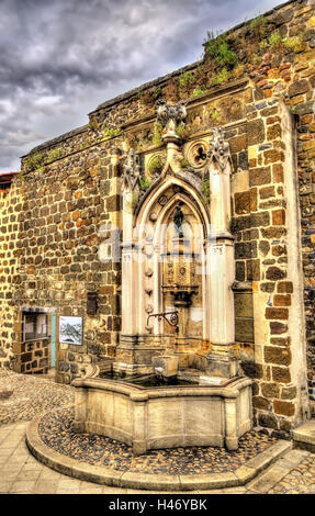 Fontana della cappella di Saint-Clair d'Aiguille - Francia Foto Stock