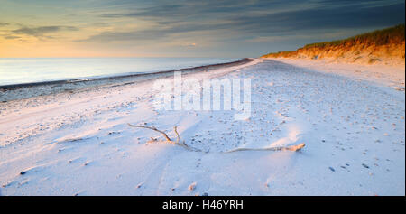 Spiaggia sabbiosa nella luce della sera, Darß, Mar Baltico, Germania Foto Stock