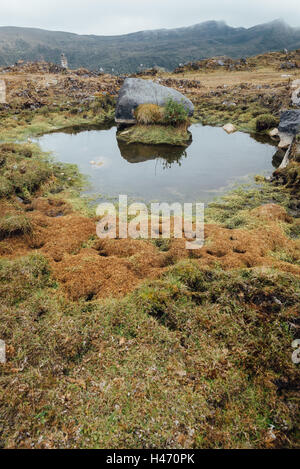 Chingaza paramo highlands Colombia Foto Stock