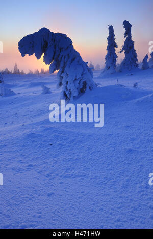 Germania, Sassonia-Anhalt, Parco Nazionale di Harz, sunrise sul Brocken, inverno, Foto Stock