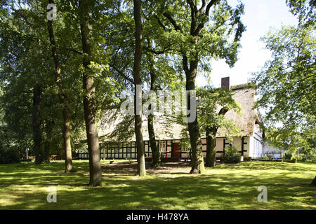 Germania, Bremen, Bremen-upper nuovo territorio, prati, alberi, house, Foto Stock