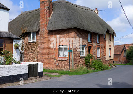 Cottage con il tetto di paglia, Sowton, Devon, Regno Unito Foto Stock