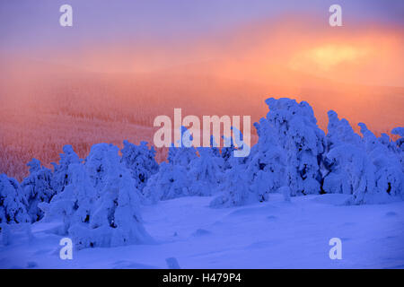 Germania, Sassonia-Anhalt, Parco Nazionale di Harz, sunrise sul Brocken, Foto Stock