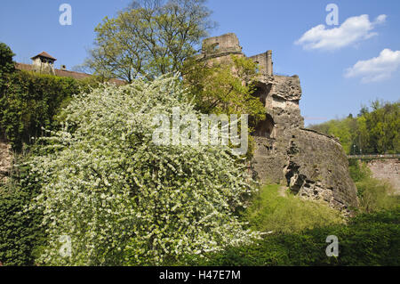 Heidelberg, serratura, Fossato, torre rovina, Baden-Württemberg, Germania, Foto Stock