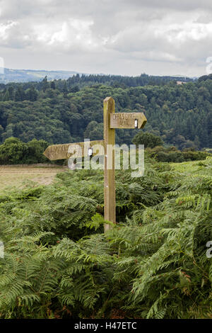 Offas Dyke Foto Stock