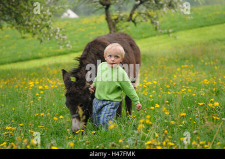Bambino con asino asino domestico, Equus asinus asinus, bimbo, agriturismo, vista frontale, passeggiate, guardando la telecamera, Foto Stock