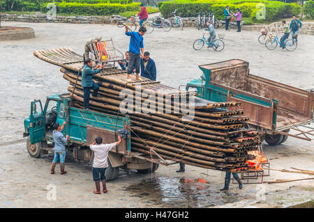 Lavoratori cinesi scarico zattere di bambù sulle rive del fiume Li e Yangshuo, Cina. Foto Stock