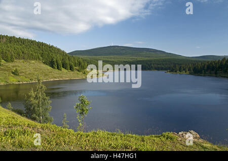 Germania, Sassonia-Anhalt, Harz, Eckertalsperre, grumi, vista lago, montagna, acque, lago di montagna, paesaggi, bassa catena montuosa, acqua economia, montagne, montagna, diga, Foto Stock