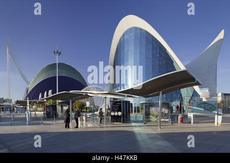 Spagna, Valencia, Ciudad de leggere Artes y de leggere Ciencias, L'Oceanogràfic, cassa, Foto Stock