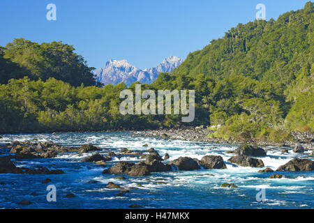 Sud America, Cile, Patagonia, parco nazionale Petrohue, fiume Rio Petrohue, Rapids, Foto Stock