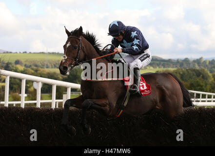 Tre stelle cavalcato da Ruby Walsh cancella l'ultima sul modo di vincere la casa di Buck novizio siepi a Punchestown Racecourse, nella contea di Kildare, Irlanda. Foto Stock