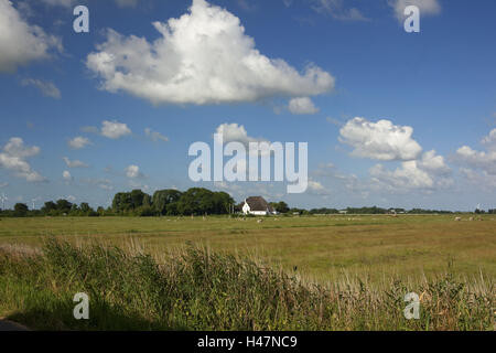 Germania, SCHLESWIG-HOLSTEIN, fregio del nord paese " di Roter Haubarg' vicino a Husum, Foto Stock