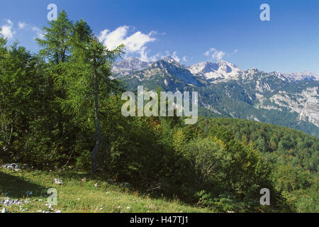 La Slovenia, il parco nazionale del Triglav, bird, ski hotel, vista dot, panorama di montagna, riserva naturale paesaggio di montagna, montagne, montagne, Hochgebirge, bird's area, bird's summit, legno di montagna, natura deserta, Foto Stock