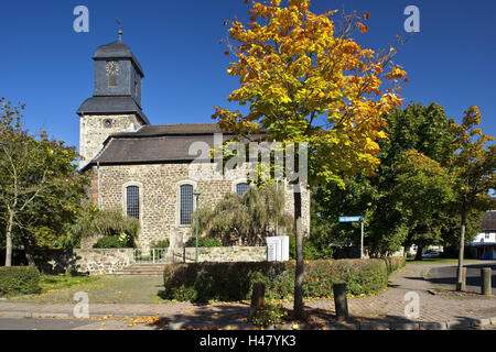 Assia, Assia settentrionale, Wabern, chiesa protestante, albero, i colori autunnali, Foto Stock