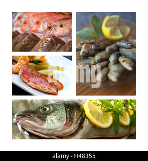 Vari piatti di pesce e ricette su un collage Foto Stock