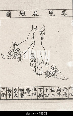 Chinese Medical illustrazione in tradizionale stile; massaggio mano Foto Stock
