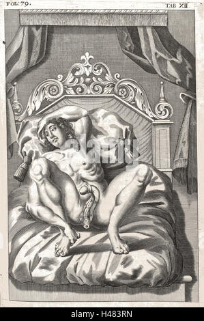 Illustrazione anatomica mostrando genitali maschili Foto Stock