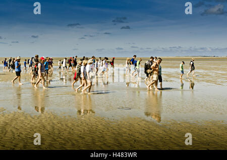 Germania, Schleswig-Holstein, Amrum, passeggiata attraverso le velme, tideway, gruppo di turisti, Foto Stock