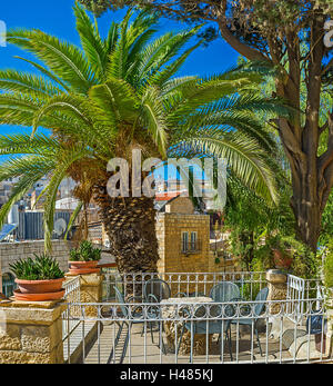 La piccola tabella sotto la lussureggiante Palm tree è perfetto per il mezzogiorno il caffè con la vista sul Quartiere Musulmano, Gerusalemme, Israele. Foto Stock