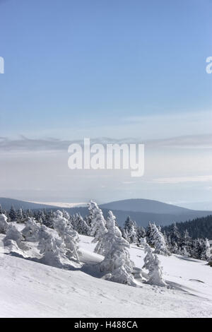 Germania, Sassonia-Anhalt, grumo, Wernigerode, paesaggio invernale, Foto Stock