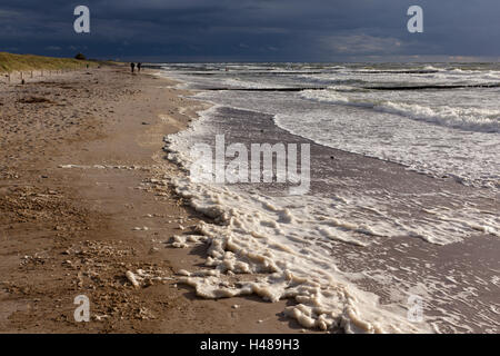 Centro termale Mar Baltico Wustrow, spiaggia di tempesta, Foto Stock