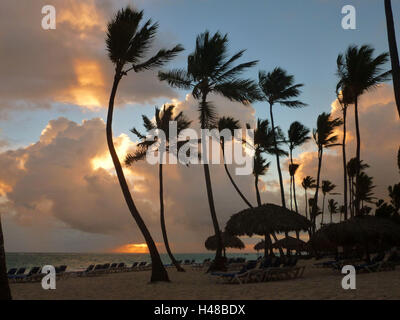 Repubblica Dominicana, Punta Cana, Playa Bavaro, alba sul palm beach, bellissimo nuvole, Foto Stock