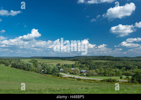 Estate terreni agricoli rurali paesaggio Jefferson county PENNSYLVANIA USA Foto Stock