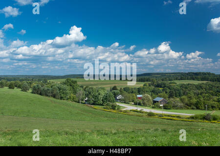 Estate terreni agricoli rurali paesaggio Jefferson county PENNSYLVANIA USA Foto Stock