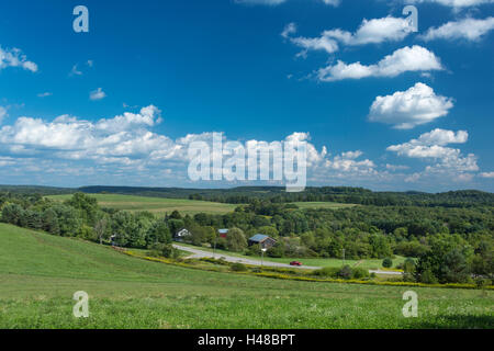 Estate terreni agricoli rurali paesaggio Jefferson county PENNSYLVANIA USA Foto Stock