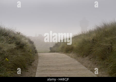 Dune, modo, isola Langeoog, Foto Stock