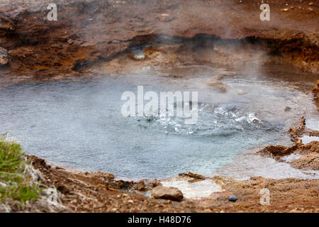 Acqua calda con gorgogliamento e geologici chimica depositi causati da acqua di geyser geysir overflow Islanda Foto Stock