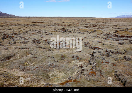 Spesse coperte di muschio lava campo di boulder Islanda Foto Stock