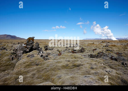 Spesse coperte di muschio lava campo di boulder Islanda Foto Stock