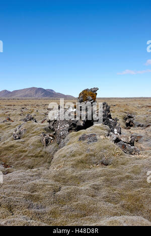 Spesse coperte di muschio lava campo di boulder Islanda Foto Stock