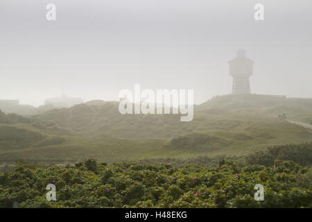 Le dune, il Mare del Nord, isola di Langeoog, nebbia Foto Stock