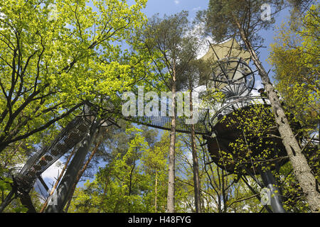 Casa della biosfera, la tettoia percorso, scale a chiocciola, Bridge crossing, Foresta del Palatinato, Renania-Palatinato, Germania Foto Stock