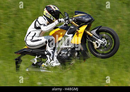 Motociclista, moto Aprilia Tuono V4R, giallo pagina a destra, impennata, Foto Stock