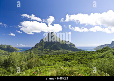 Polinesia francese, Isola Moorea, Monte Rotui, Foto Stock