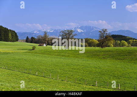 In Germania, in Baviera, Baviera, Pfaffenwinkel (regione), Antdorf, paesaggio, Foresta, Benediktenwand, montagne, alberi, Foto Stock