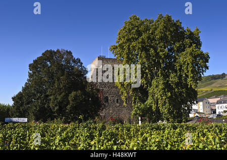 Germania, Hesse, Rheingau (regione), Rüdesheim am Rhein (città), Brömserburg, Rheingau (regione) il museo del vino, Foto Stock