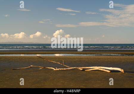 Nuova Zelanda, Isola del Sud, il Parco Nazionale Abel Tasman, flotsam e jetsam, Foto Stock