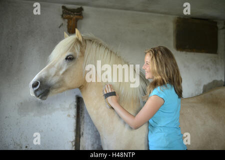 Ragazza adolescente, cavallo, Icelander, stabile, curry, Foto Stock