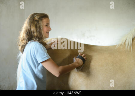 Ragazza adolescente, cavallo, Icelander, stabile, curry, Foto Stock