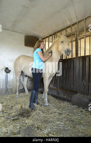 Ragazza adolescente, cavallo, Icelander, stabile, curry, Foto Stock