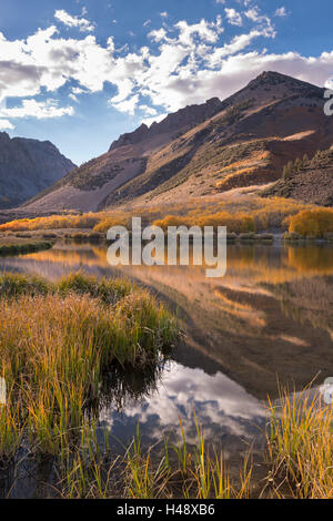 I colori dell'autunno linea le rive del lago del Nord vicino al Vescovo, Orientale Sierras, California, Stati Uniti d'America. In autunno (ottobre) 2014. Foto Stock