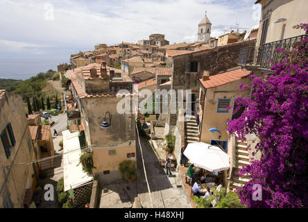 L'Italia, Toscana, Isola d'Elba, Capoliveri, vista locale, destinazione, resort, un luogo storicamente, turismo, vacanze, villaggio, case, edifici, corsie, architettura, chiesa, Steeple, bougainvillaea, Foto Stock