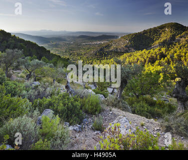 Vista da Puig de Alaró, Maiorca, SPAGNA, Foto Stock