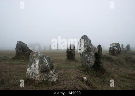 Allineamento della Lagatjar nella nebbia, Bretagna, Francia, Foto Stock